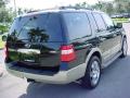 2007 Expedition Eddie Bauer #3