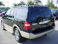 2007 Expedition Eddie Bauer #6
