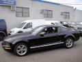2006 Mustang V6 Deluxe Coupe #3