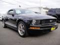 2006 Mustang V6 Deluxe Coupe #8