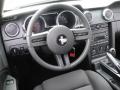 2006 Mustang V6 Deluxe Coupe #15
