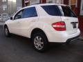 2006 ML 350 4Matic #3