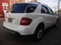 2006 ML 350 4Matic #4