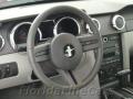 2008 Mustang V6 Deluxe Coupe #16