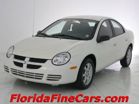Stone White Dodge Neon SXT.  Click to enlarge.