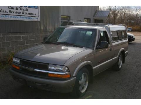 Pewter Metallic Chevrolet S10 LS Regular Cab.  Click to enlarge.