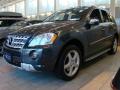 2010 ML 550 4Matic #1