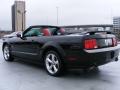 2006 Mustang GT Premium Convertible #7