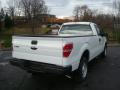 2010 F150 XLT Regular Cab #3