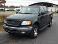 2001 F150 XLT SuperCrew 4x4 #2 2001 F150 XLT SuperCrew 4x4 #2