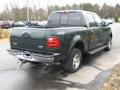 2001 F150 XLT SuperCrew 4x4 #4 2001 F150 XLT SuperCrew 4x4 #4