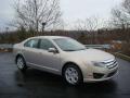 2010 Fusion SE #1