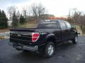 2010 F150 XLT SuperCrew 4x4 #3