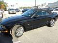 2008 Mustang GT Premium Convertible #14