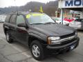 2006 TrailBlazer LS 4x4 #20 2006 TrailBlazer LS 4x4 #20