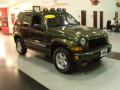2006 Liberty Sport 4x4 #7
