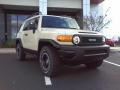 2010 FJ Cruiser Trail Teams Special Edition 4WD #1