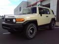 2010 FJ Cruiser Trail Teams Special Edition 4WD #3