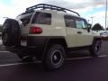 2010 FJ Cruiser Trail Teams Special Edition 4WD #5