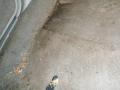 1999 Crown Victoria LX #10