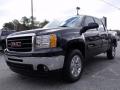 2010 Sierra 1500 SLT Crew Cab 4x4 #4