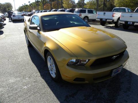 Sunset Gold Metallic Ford Mustang V6 Coupe.  Click to enlarge.