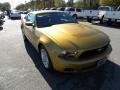 2010 Mustang V6 Coupe #1