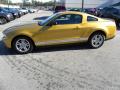 2010 Mustang V6 Coupe #2