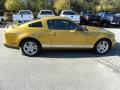 2010 Mustang V6 Coupe #8
