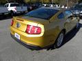 2010 Mustang V6 Coupe #9