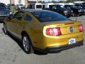 2010 Mustang V6 Coupe #10