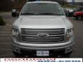 2010 F150 Platinum SuperCrew 4x4 #3