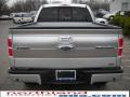 2010 F150 Platinum SuperCrew 4x4 #7