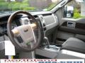 2010 F150 Platinum SuperCrew 4x4 #10