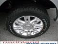 2010 F150 Platinum SuperCrew 4x4 #15