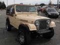  1982 Jeep CJ7 Jamaica Beige #4