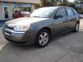 2004 Malibu Maxx LS Wagon #2