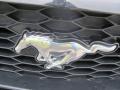 2007 Mustang GT Premium Coupe #14