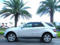 2010 ML 350 #1