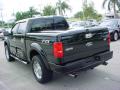 2007 F150 Tuscany FTX SuperCrew 4x4 #6