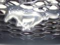 2008 Mustang V6 Deluxe Coupe #21
