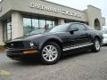 2008 Mustang V6 Deluxe Coupe #2