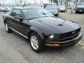 2008 Mustang V6 Deluxe Coupe #7