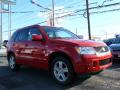 2008 Grand Vitara Luxury #3