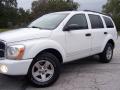 2004 Durango SLT #4