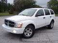 2004 Durango SLT #6