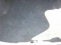 2006 Charger R/T #18