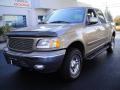 2001 F150 Lariat SuperCrew 4x4 #3