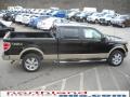 2010 F150 Lariat SuperCrew 4x4 #5