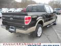 2010 F150 Lariat SuperCrew 4x4 #6